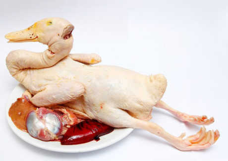 Công thức chế biến món miến măng vịt thơm ngon khó cưỡng - Ảnh 1 Cong thuc che bien mon mien mang vit thom ngon kho cuong - Anh 1