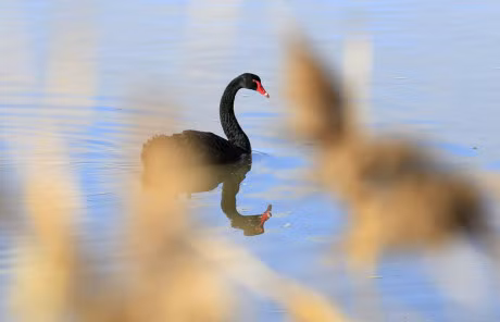 Anh dong vat tuan: Dan ran tinh giac sau ky ngu dong - Anh 3