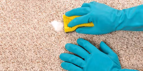 7 meo lam sach nhanh va don gian giup ban don dep nha trong nhay mat - Anh 13