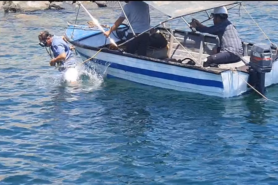 Thợ lặn mang theo thiết bị ghi hình khi lặn xuống biển.