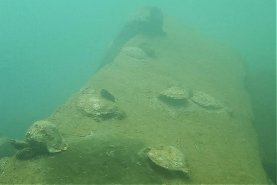 Hàu biển bám đầy tại các ghềnh đá.