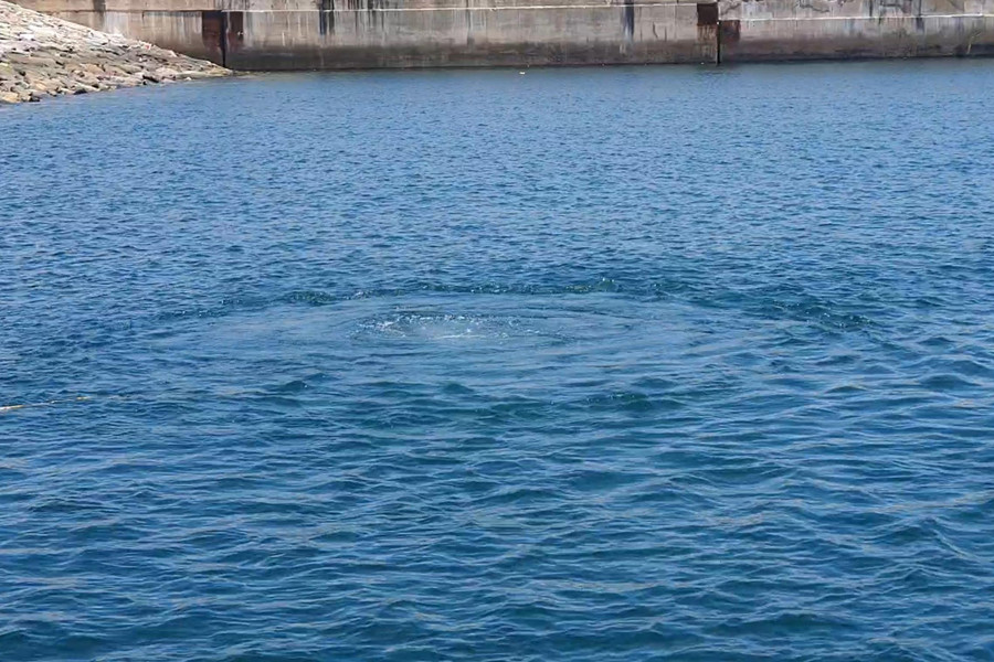 Quá trình lặn khám phá hệ sinh thái tại Cảng nước sâu Sơn Dương và vùng biển quanh nhà máy Formosa có sự chứng kiến của lực lượng chức năng cùng Công ty FHS.