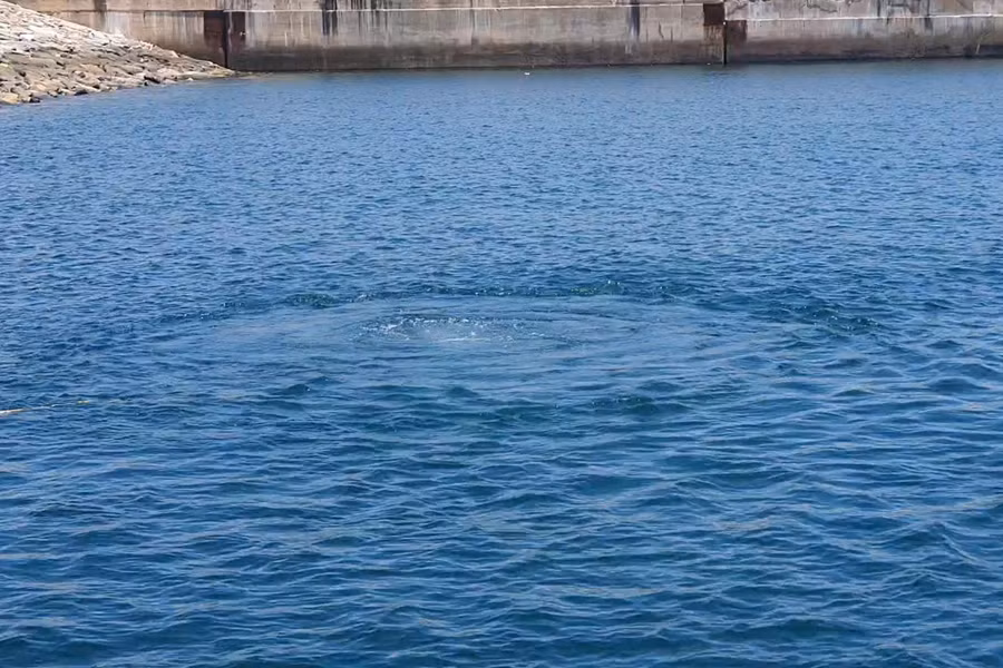 Quá trình lặn khám phá hệ sinh thái tại Cảng nước sâu Sơn Dương và vùng biển quanh nhà máy Formosa có sự chứng kiến của lực lượng chức năng cùng Công ty FHS.