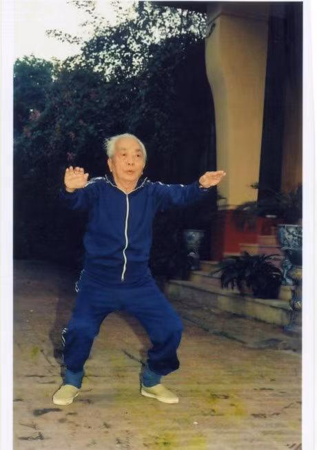 Nhung hinh anh binh di ve Dai tuong Vo Nguyen Giap - Anh 1