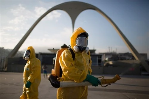 Số quốc gia xuất hiện virus Zika gia tăng