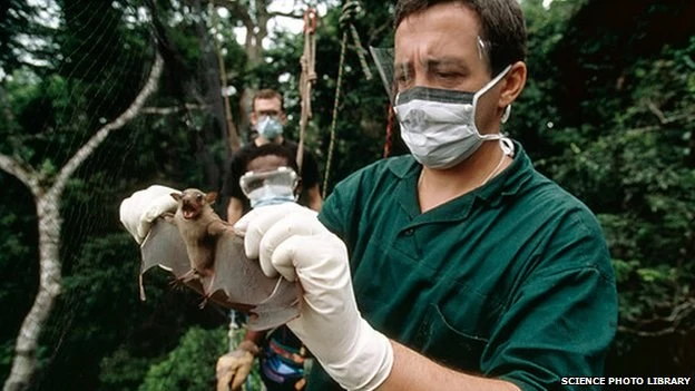 Hiểu lầm chết người về Ebola.