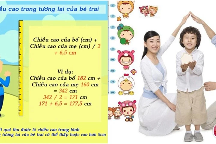 Công thức tính chiều cao tương lai của trẻ cực đơn giản và chính xác