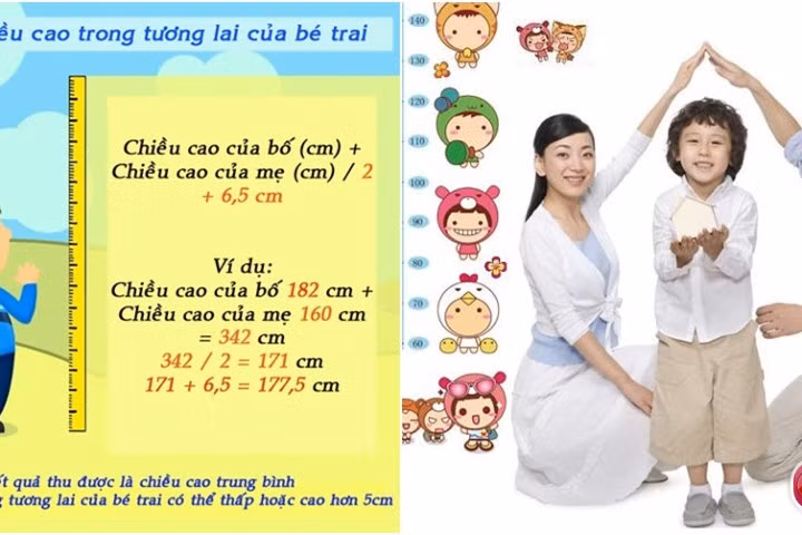 Công thức tính chiều cao tương lai của trẻ cực đơn giản và chính xác