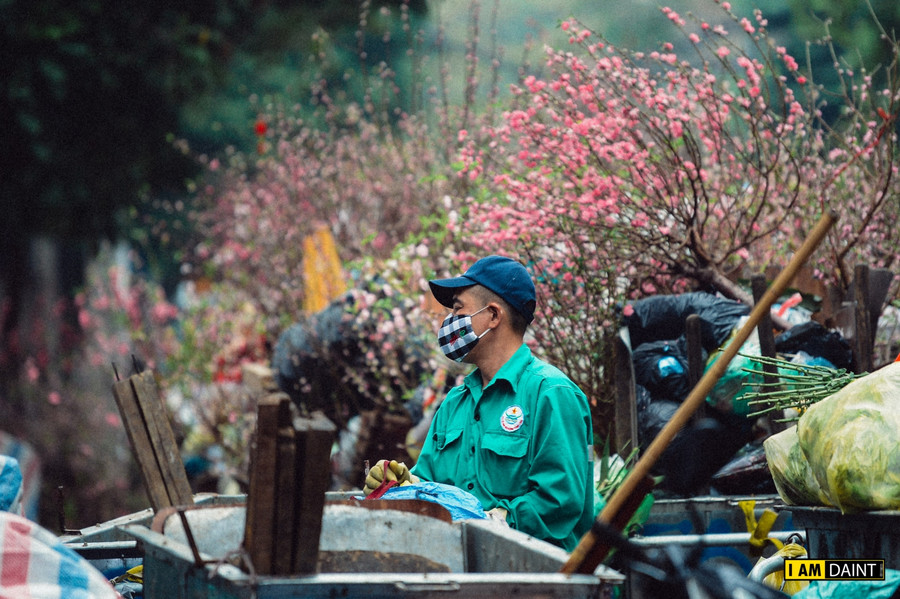 Sau mỗi dịp Tết, những cành đào to, nhỏ đều biến thành rác.