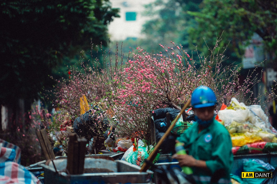 Thời gian này, tại nhiều bãi tập kết rác cành đào được chất đống cao.