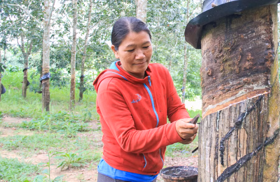 Người dân được tiếp cận nguồn vay vốn tín dụng chính sách để phát triển kinh tế.