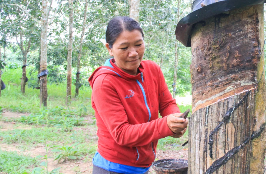 Người dân được tiếp cận nguồn vay vốn tín dụng chính sách để phát triển kinh tế.