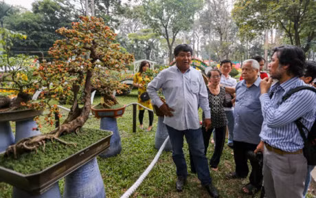 Nhieu cay canh doc la o hoi hoa xuan lon nhat Sai Gon - Anh 10