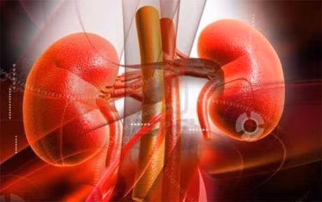 7 ly do ban can detox than bang viec an va uong nhung thuc pham, do uong nay - Anh 1