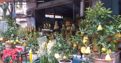 San phat thu, buoi phat thu bac trieu choi Tet tai Quang Tri - Anh 1