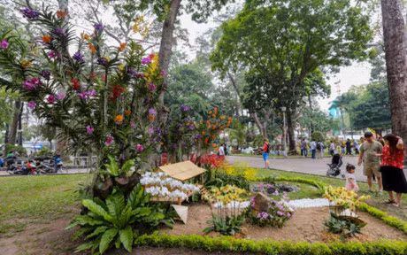 Nhieu cay canh doc la o hoi hoa xuan lon nhat Sai Gon - Anh 13