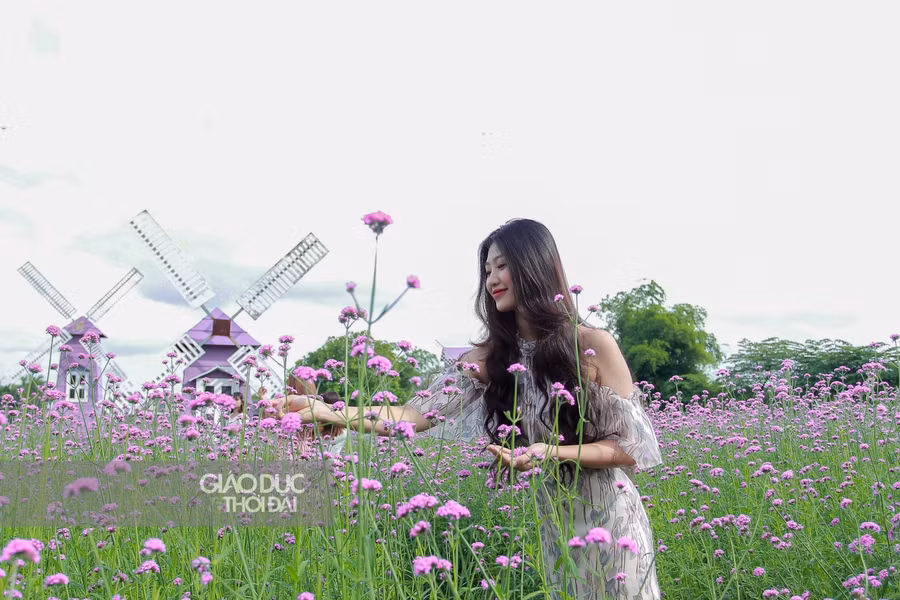 Khung cảnh thơ mộng như một góc trời Châu Âu.