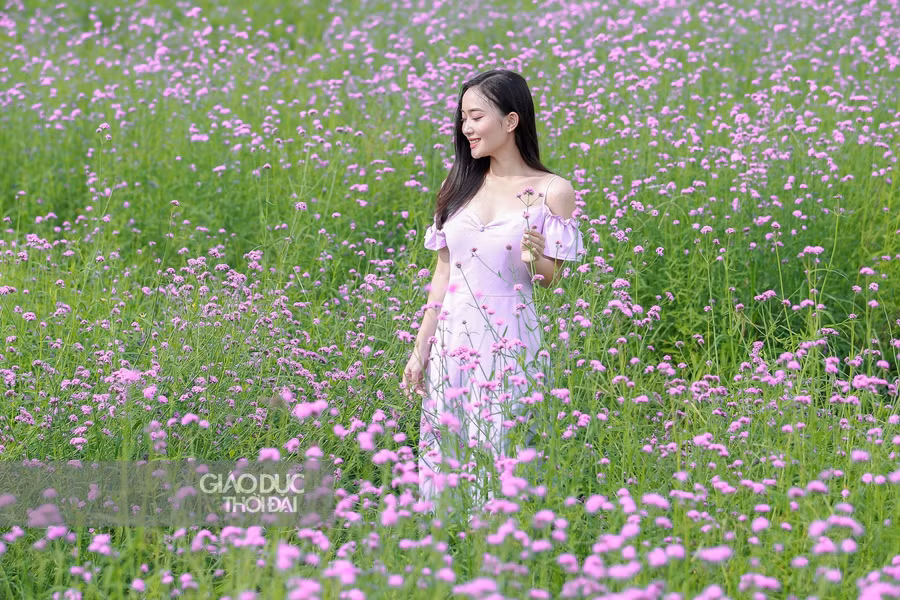 Không gian tím ngát khiến đây trở thành một địa điểm check-in ưa thích của nhiều bạn trẻ.