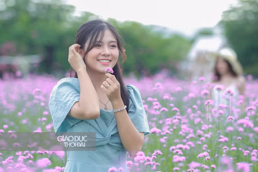 Lưu lại những tấm hình cùng hoa oai hương thảo mà không phải đi xa sẽ là một trải nghiệm thú vị.