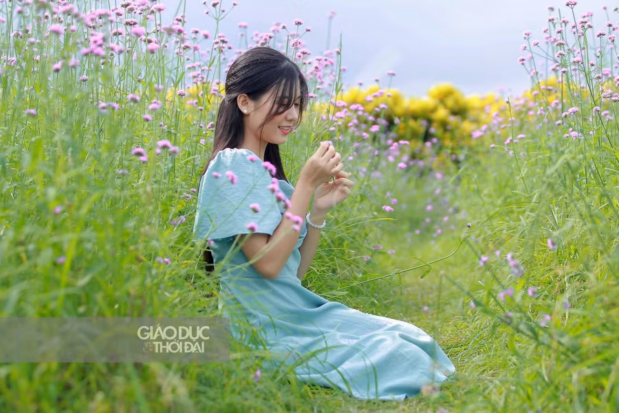 Giới trẻ Hà thành đổ xô check-in cánh đồng hoa oải hương thảo tím ngát như trời Tây ảnh 9