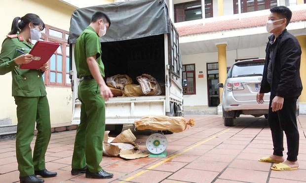 Nửa tấn chân gà bốc mùi hôi thối bị cơ quan chức năng phát hiện. Ảnh: Lê Nam.