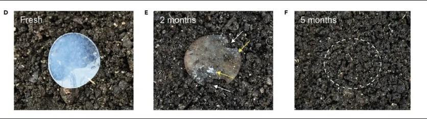 Vật liệu pin đã phân hủy gần như hoàn toàn vào đất sau 5 tháng. Ảnh: Liangbing Hu.