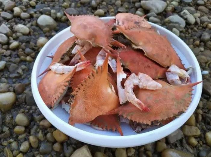 Vỏ cua chứa đầy chitosan. Ảnh: Liangbing Hu.