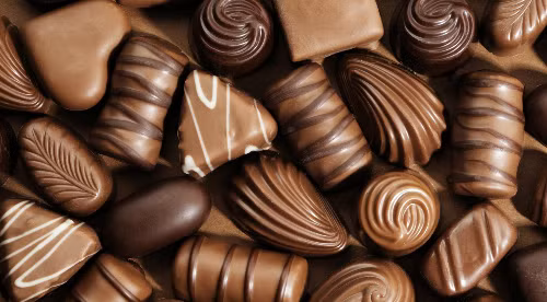 
Ảnh:voiceofjournalists. 