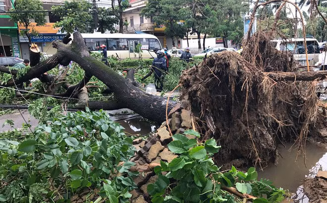 Báo số 2 gây thiệt hại ở Nghệ An. Ảnh Tri thức trẻ