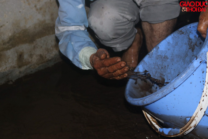 Kế hoạch công việc sẽ thực hiện vệ sinh các bể ngầm đến tối 21/10, sau đó tiến hành thau các bể mái trên nóc các tòa nhà. Các bể mái của tòa nhà này vốn cũng vừa được thau rửa chưa đầy 1 tháng sau ảnh hưởng từ vụ cháy nhà máy bóng đèn phích nước Rạng Đông.