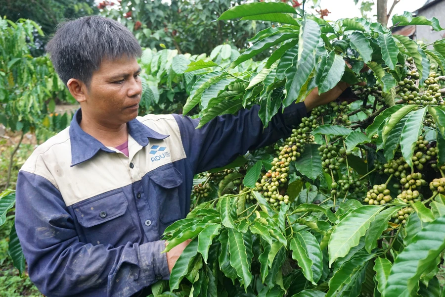 Anh A Kân phát triển kinh tế gia đình để làm gương cho bà con.