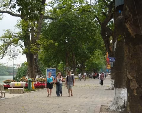 Hà Nội: "bức tử" cây xanh sẽ bị phạt đến 15 triệu đồng