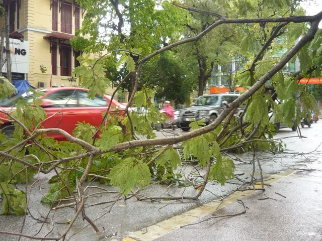 Hà Nội:Bất ngờ có mưa giông lớn ảnh 1
