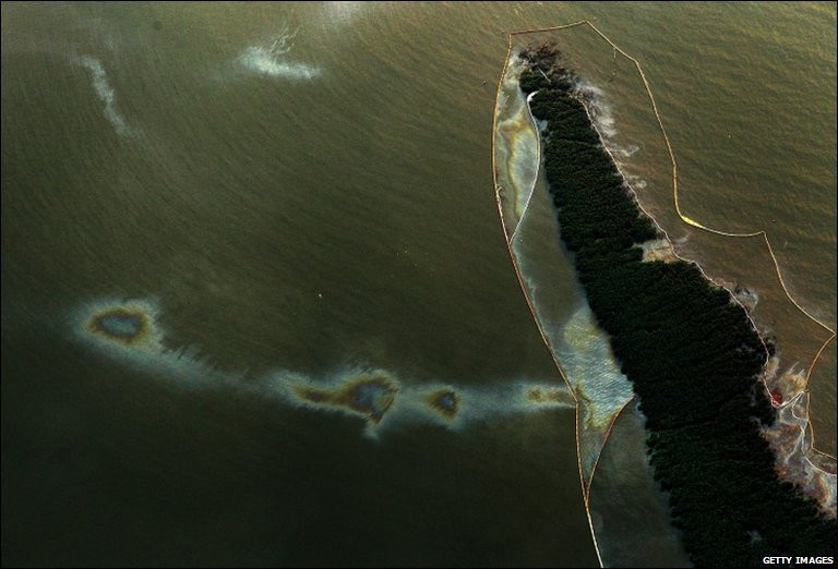 BP nỗ lực hàn gắn giếng dầu bị rò rỉ nằm sâu 1.500 mét dưới Vịnh Mexico nhưng không thành công. Dầu vẫn tiếp tục phun lên làm ảnh hưởng trầm trọng tới môi trường sống của động thực vật.