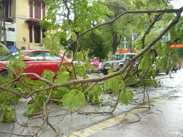 Hà Nội:Bất ngờ có mưa giông lớn