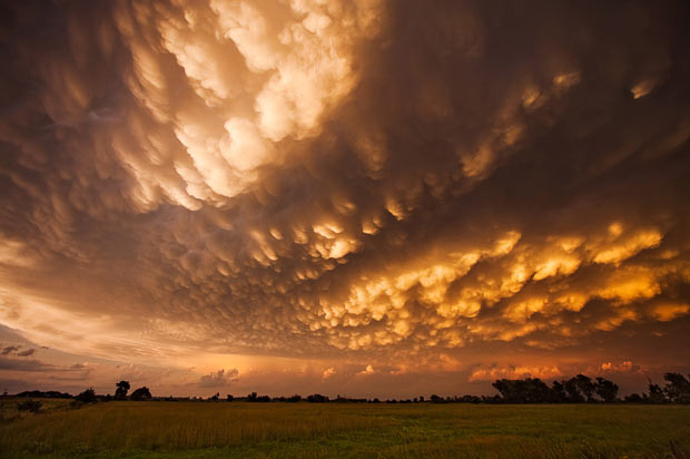 Những bức ảnh kinh hoàng của người "săn bão" ảnh 13 August 20, 2007, Primrose supercell with mammatus Said Mike: