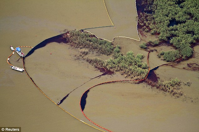 Mỹ: Gian nan chặn rò dầu ảnh 5 Oil impacts Redfish Bay in Louisiana’s birdsfoot delta, where the Mississippi River empties into the Gulf of Mexico Read more: http://www.dailymail.co.uk/news/worldnews/article-1282293/Gulf-oil-spill-BP-resumes-kill-efforts-Obama-accepts-responsibility.html#ixzz0pMqBV6dc