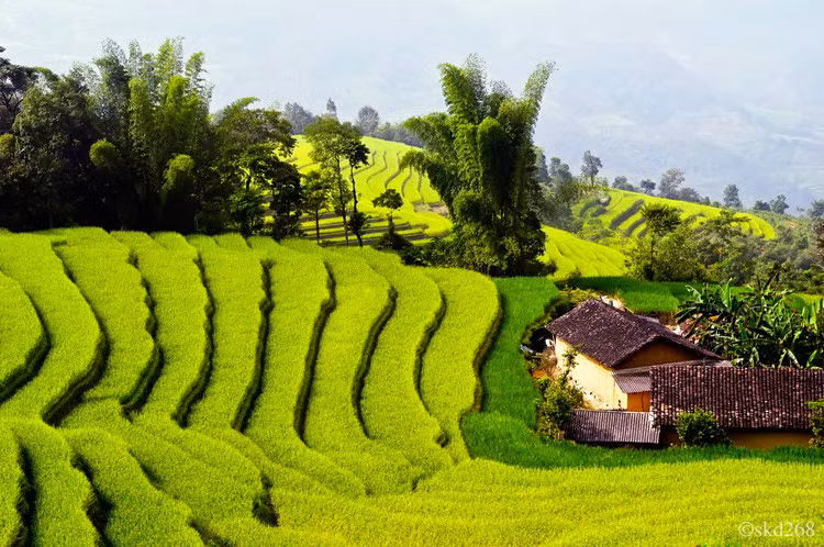 688 triệu USD cho phát triển kinh tế và giảm nghèo tại VN