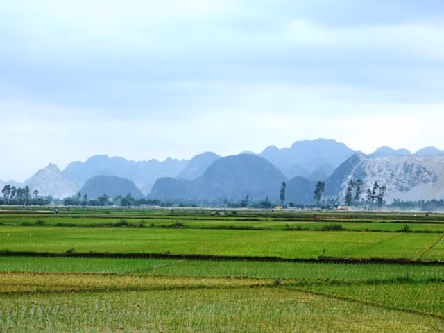 Không nên đưa đất lấn chiếm vào đối tượng chịu thuế ảnh 1