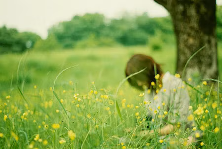 Tình tan vì định kiến Thanh Hóa, Nghệ An