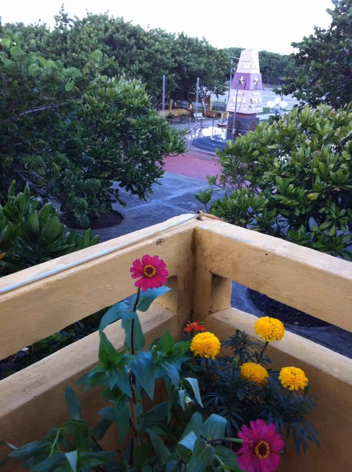 Những bông hoa được ươm trồng cẩn thận, vượt qua hơn 10 cơn bão mừng Ngày Nhà giáo Việt Nam 20/11