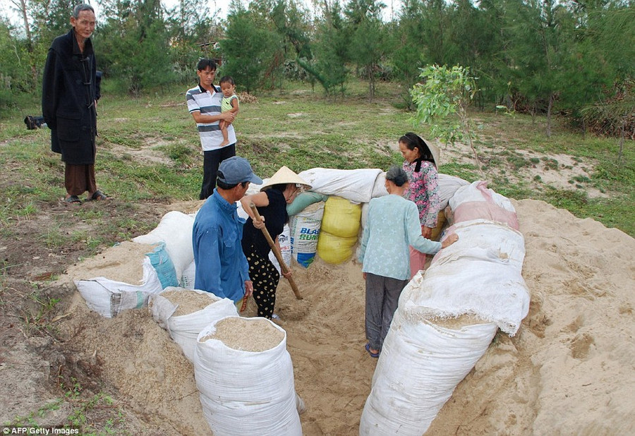 Pragmatic: Villagers dig a makeshift shelter to protect themselves from the ferocious weather which is expected to impact 6.5 million people in Vietnam Read more: http://www.dailymail.co.uk/news/article-2494635/Philippines-super-typhoon-Haiyan-powerful-storm-history.html#ixzz2kDAjTmzp Follow us: @MailOnline on Twitter | DailyMail on Facebook
