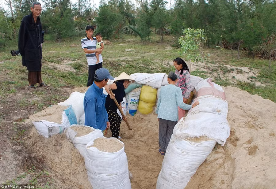 Pragmatic: Villagers dig a makeshift shelter to protect themselves from the ferocious weather which is expected to impact 6.5 million people in Vietnam Read more: http://www.dailymail.co.uk/news/article-2494635/Philippines-super-typhoon-Haiyan-powerful-storm-history.html#ixzz2kDAjTmzp Follow us: @MailOnline on Twitter | DailyMail on Facebook