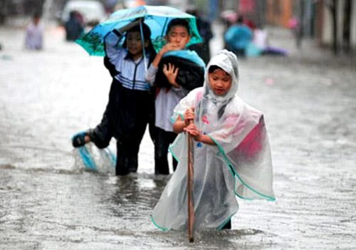 TPHCM: Nghiêm cấm HS đi đường sông khi có bão HaiYan