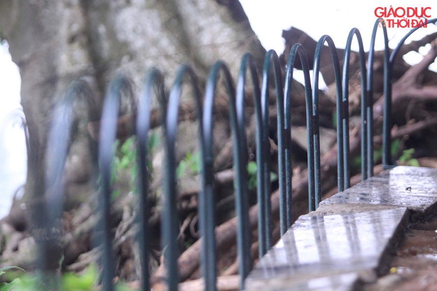 Hàng rào bằng kim loại được lắp cố định, thấp vẫn đảm bảo mỹ quan của khu vực hồ