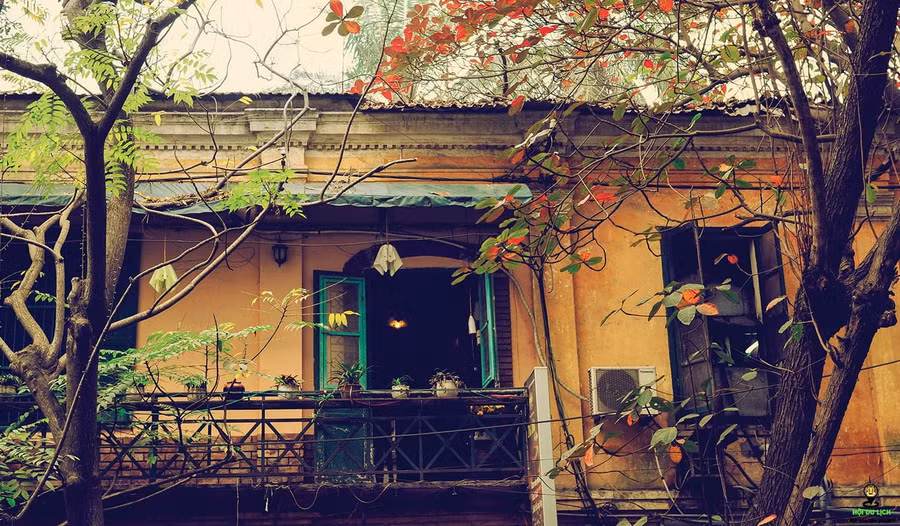 Mùa thu cũng là “mùa vàng bội thu” trong thơ, trong báo của Nhà báo, nhà thơ, PGS, TS Nguyễn Hồng Vinh. Ảnh minh hoạ.