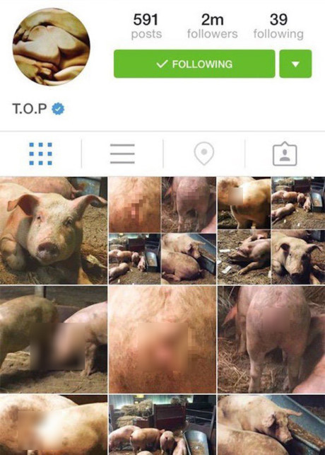 Top 9 thần tượng Kpop kỳ lạ, gây sốc nhất trên Instagram - Ảnh 1 Top 9 than tuong Kpop ky la, gay soc nhat tren Instagram - Anh 1
