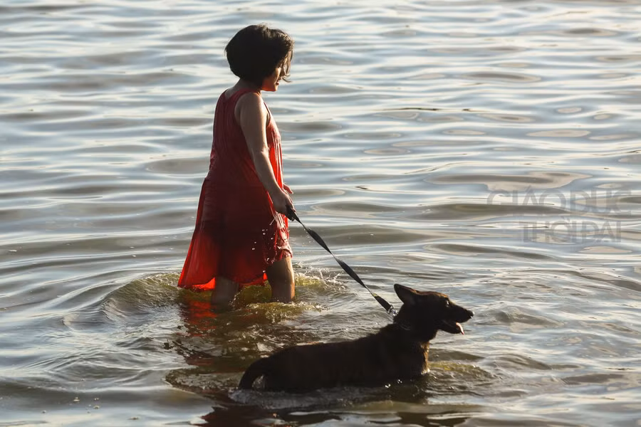 Hà Nội: Nắng nóng, Hồ Tây thành bể bơi công cộng ảnh 3