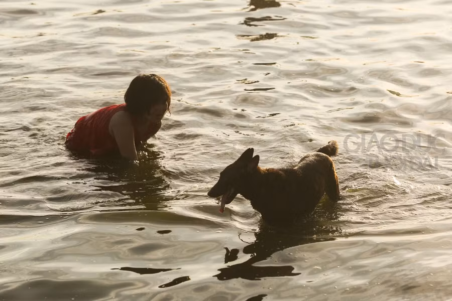 Hà Nội: Nắng nóng, Hồ Tây thành bể bơi công cộng ảnh 13