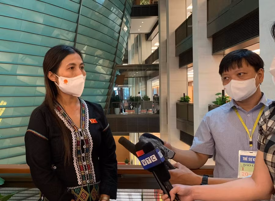 Đại biểu Quốc hội Hồ Thị Minh